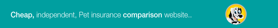 UK #1 independent incurance comparison website